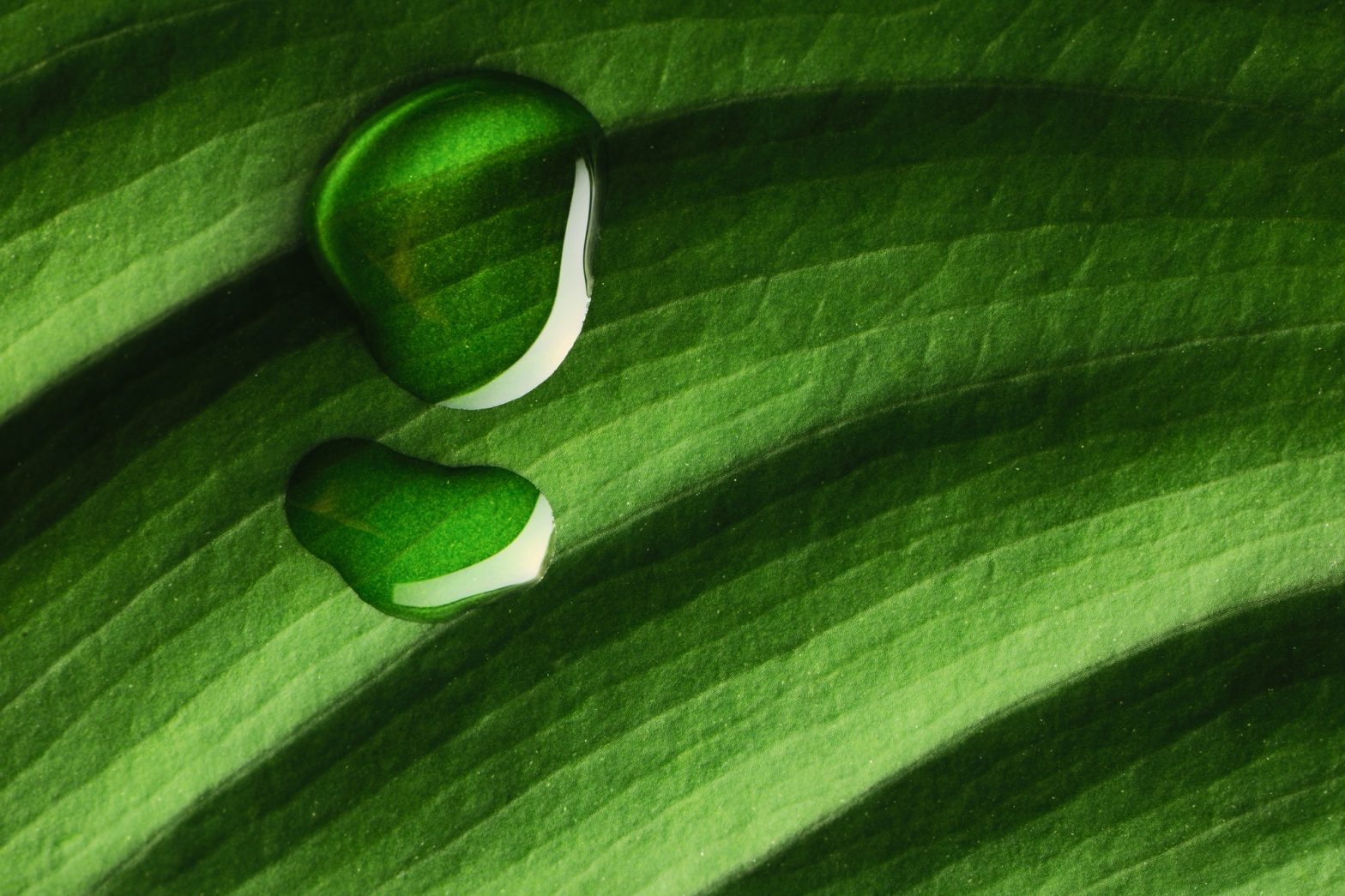 Making 2021 the year of water conservation